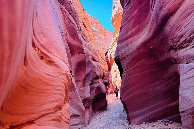 Same Day Exclusive Kayak Rental on Lake Powell - Value and Cost: Is $68 a Good Deal Here?